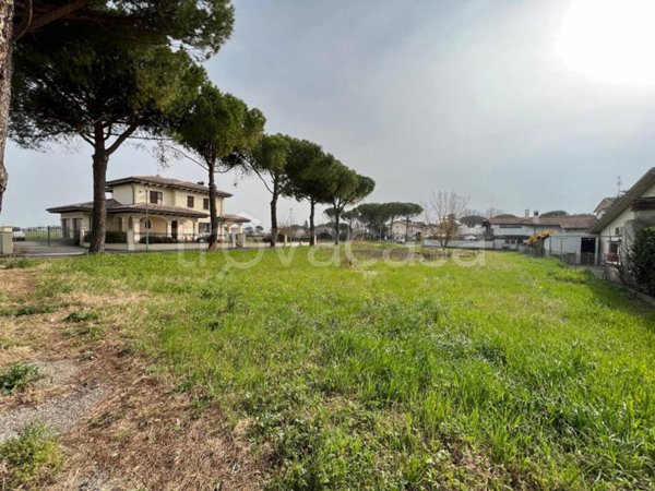 terreno agricolo in vendita a Cervia in zona Pisignano