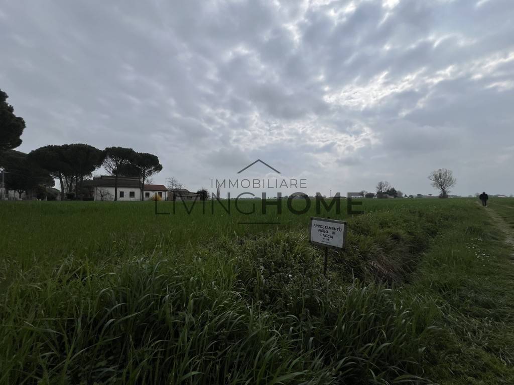 terreno agricolo in vendita a Cervia in zona Pisignano