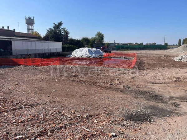 terreno agricolo in vendita a Conselice in zona Lavezzola