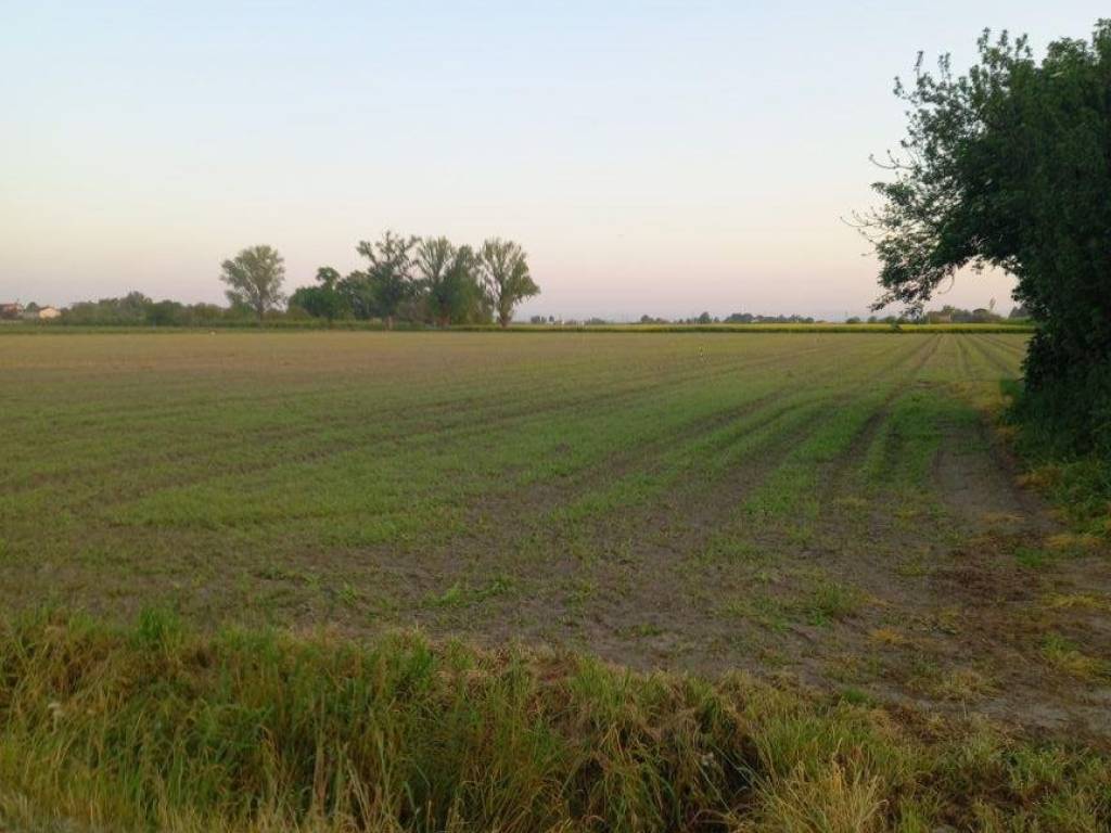 terreno edificabile in vendita a Conselice