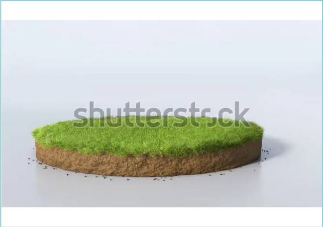 terreno agricolo in vendita a Conselice