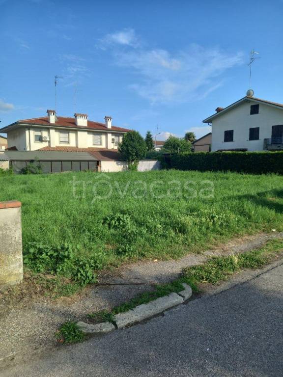 terreno edificabile in vendita a Conselice in zona Lavezzola