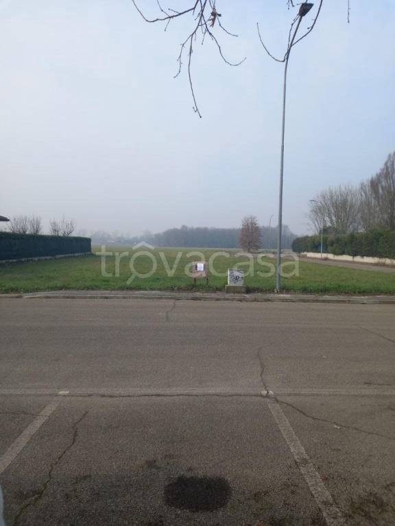 terreno edificabile in vendita a Conselice in zona Lavezzola