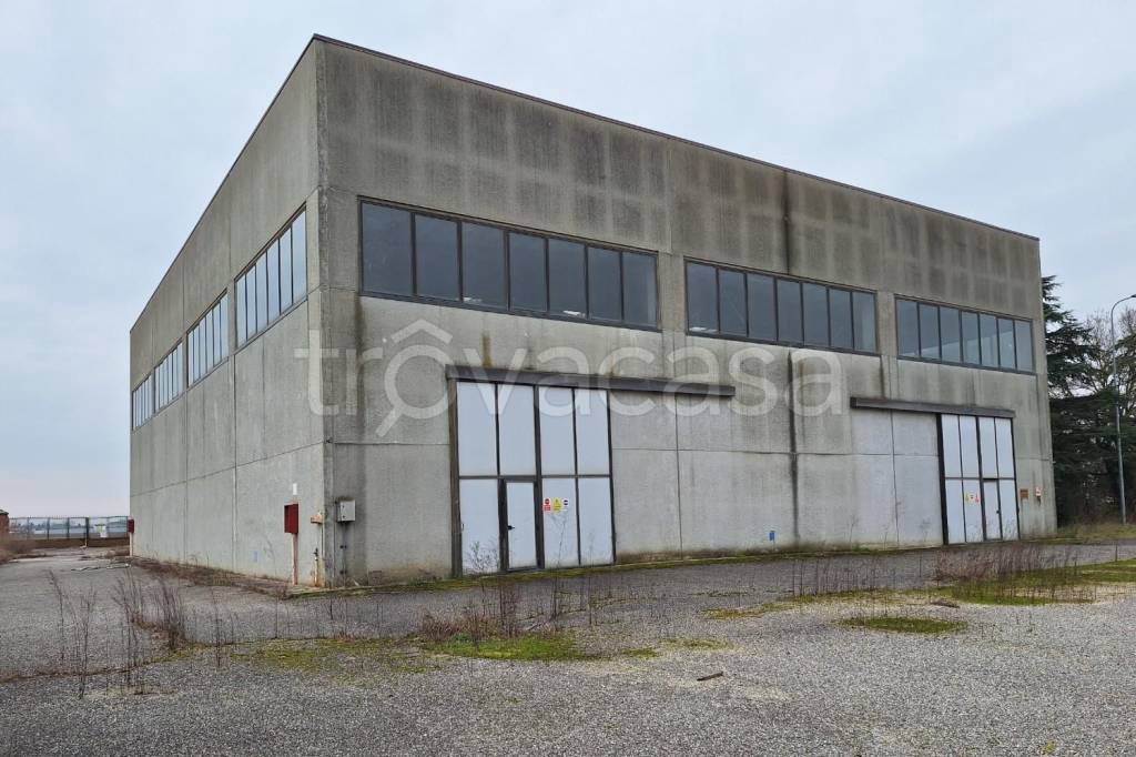 locale commerciale in vendita a Conselice
