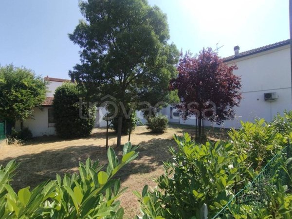 appartamento in vendita a Conselice in zona San Patrizio