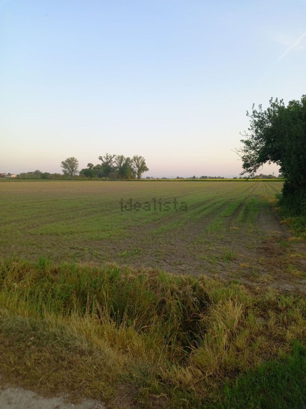 terreno edificabile in vendita a Conselice