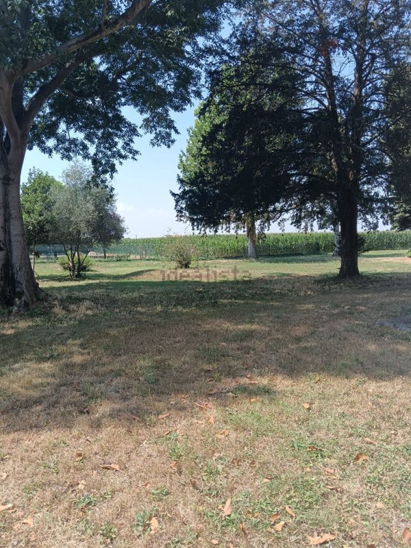 casa indipendente in vendita a Conselice