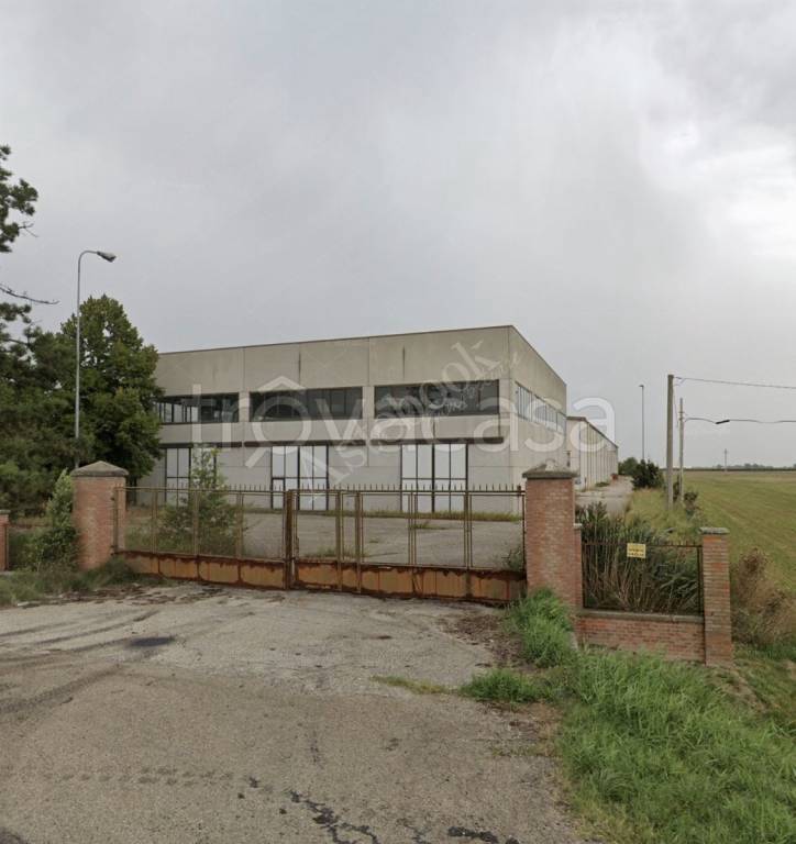 appartamento in vendita a Conselice in zona Chiesanuova