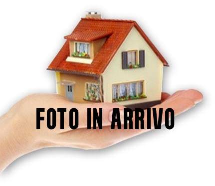 appartamento in vendita a Conselice