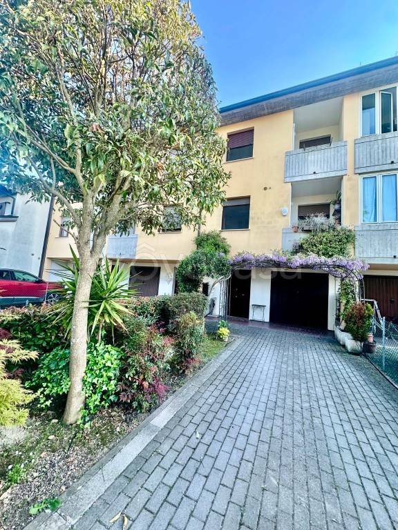 casa indipendente in vendita a Cotignola