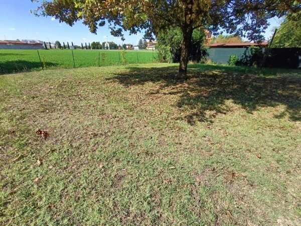 terreno agricolo in vendita a Cotignola in zona Barbiano