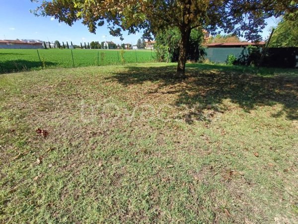 casa indipendente in vendita a Cotignola in zona Barbiano