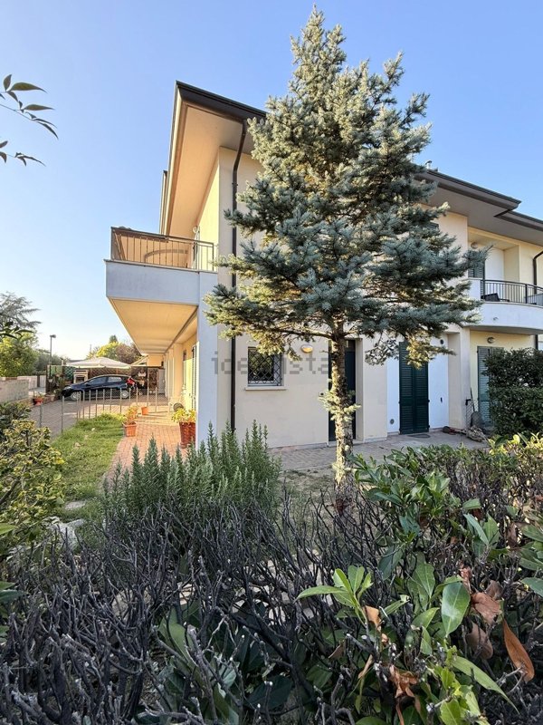 pentavano in vendita a Cotignola