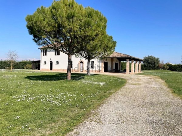 casa indipendente in vendita a Cotignola