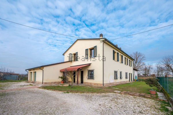 appartamento in vendita a Cotignola