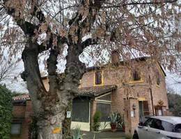 appartamento in vendita a Cotignola in zona San Severo