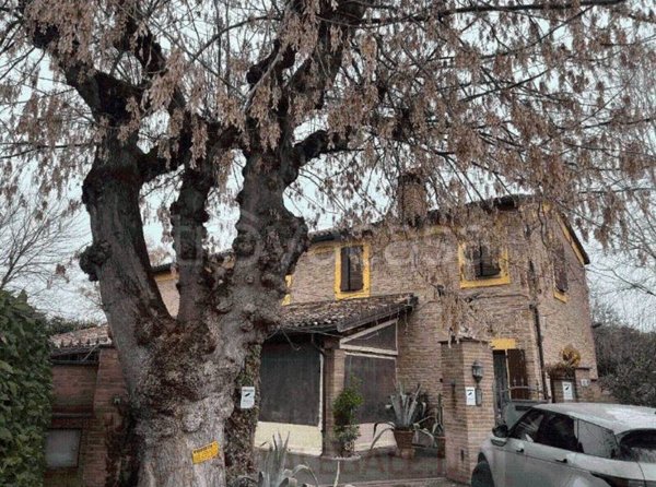appartamento in vendita a Cotignola in zona San Severo