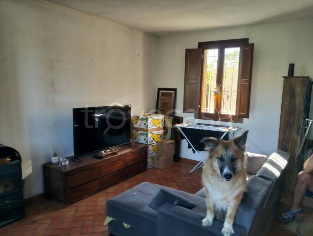 casa indipendente in vendita a Cotignola in zona Barbiano