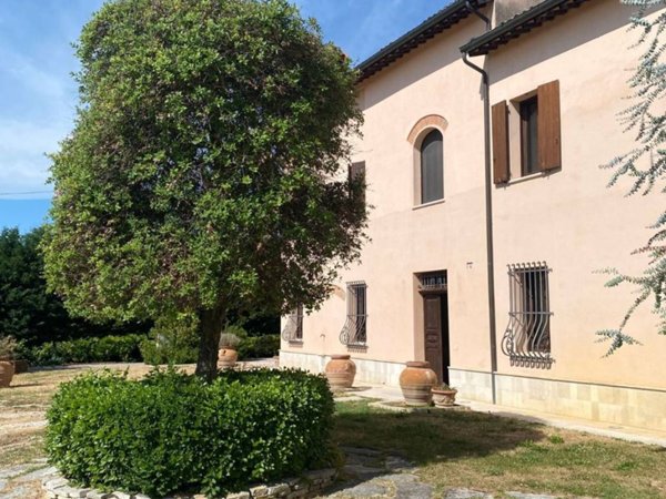 negozio in vendita a Cotignola