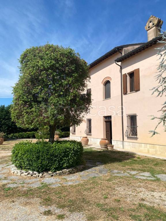 negozio in vendita a Cotignola