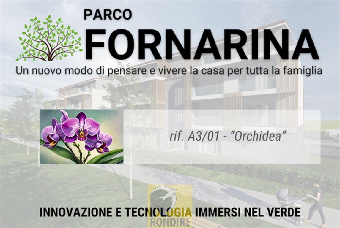 appartamento in vendita a Faenza