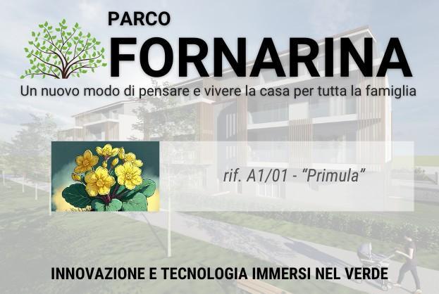 appartamento in vendita a Faenza