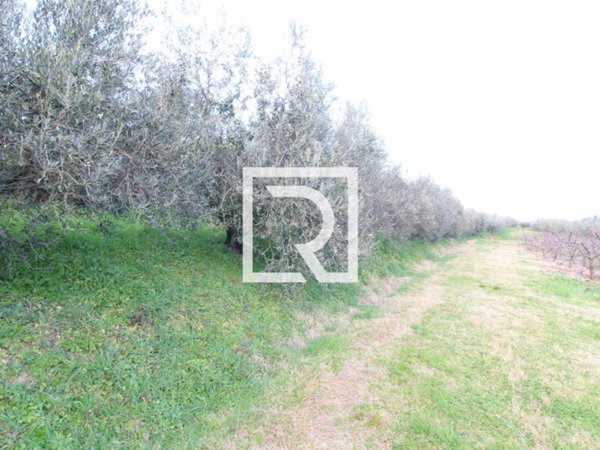 terreno agricolo in vendita a Faenza