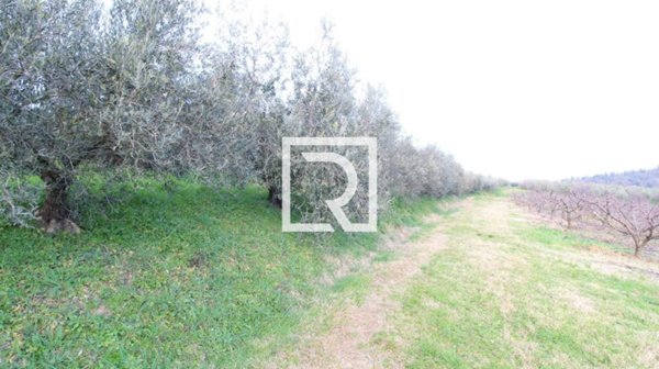 terreno agricolo in vendita a Faenza