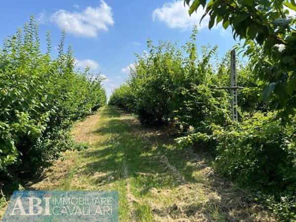 terreno agricolo in vendita a Faenza in zona Sarna