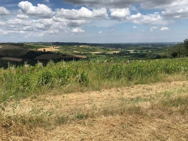 terreno agricolo in vendita a Faenza