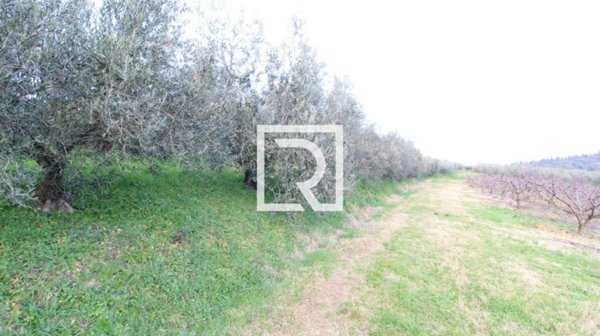 terreno agricolo in vendita a Faenza