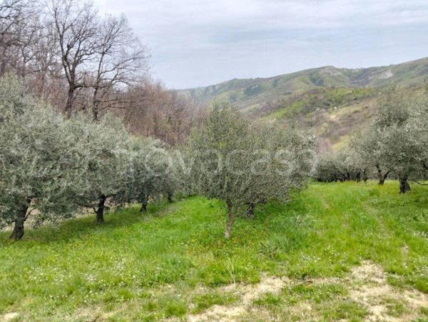 terreno agricolo in vendita a Faenza