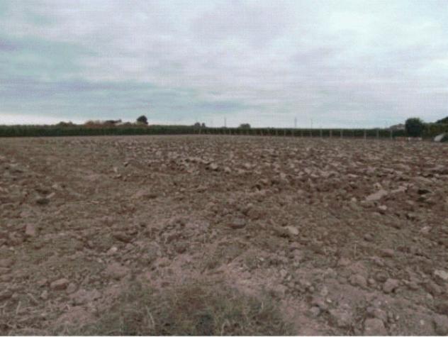 terreno agricolo in vendita a Faenza in zona Cassanigo