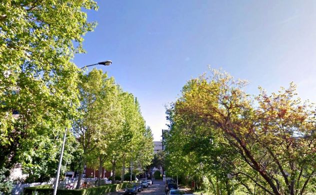 pentavano in vendita a Faenza in zona Fossolo
