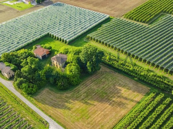 casa indipendente in vendita a Faenza in zona Pieve Cesato