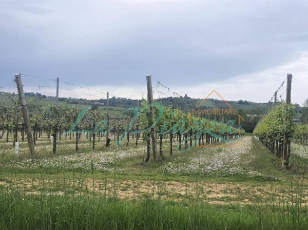 terreno agricolo in vendita a Faenza