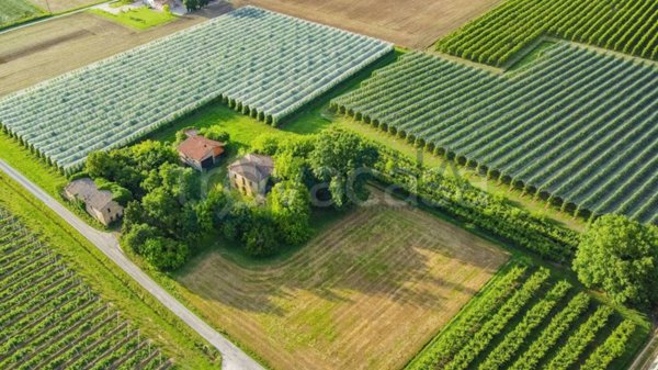 casa indipendente in vendita a Faenza in zona Pieve Cesato