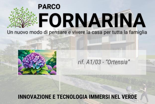 appartamento in vendita a Faenza