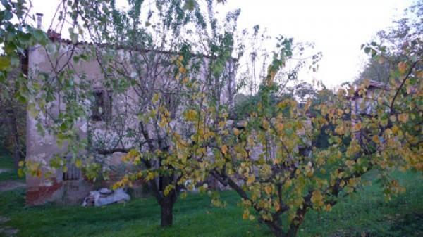 rudere in vendita a Faenza