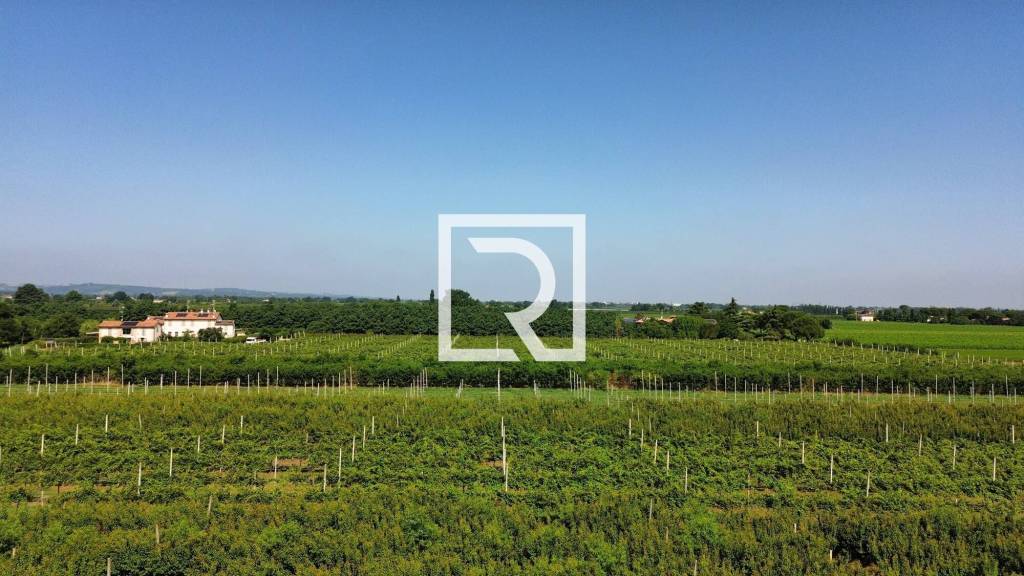 terreno agricolo in vendita a Faenza
