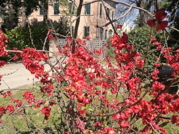 casa indipendente in vendita a Faenza