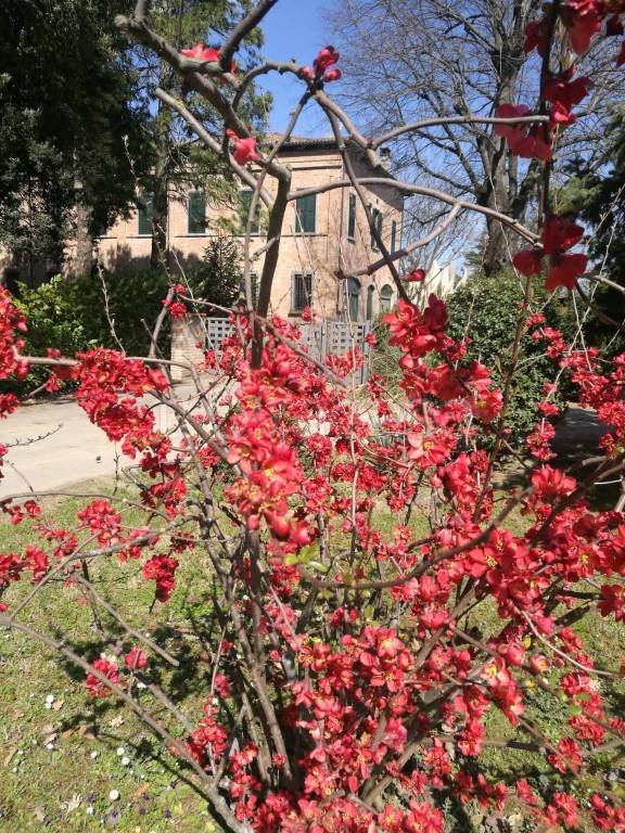 casa indipendente in vendita a Faenza