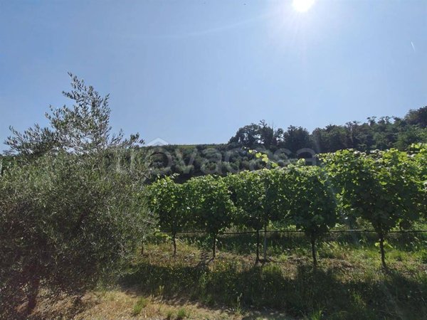 terreno agricolo in vendita a Faenza in zona Santa Lucia