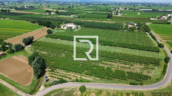 terreno agricolo in vendita a Faenza