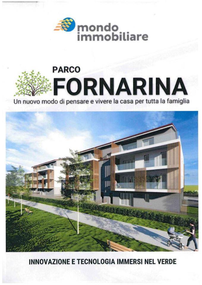 appartamento in vendita a Faenza