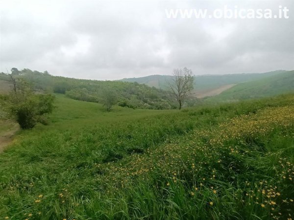terreno agricolo in vendita a Faenza