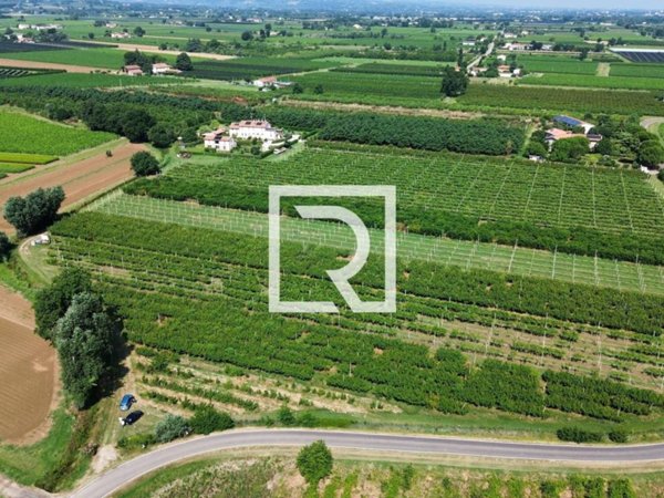 terreno agricolo in vendita a Faenza