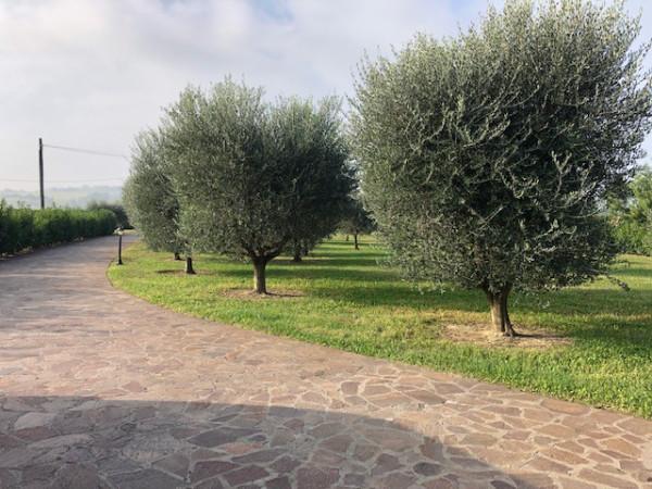 casa indipendente in vendita a Faenza