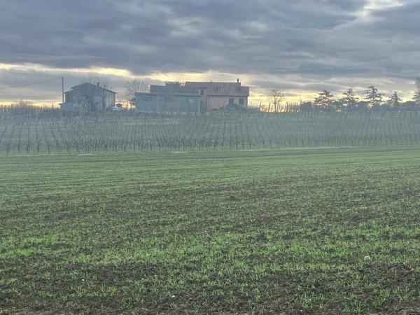 casa indipendente in vendita a Faenza