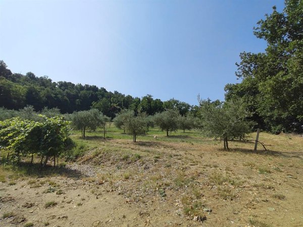 terreno agricolo in vendita a Faenza in zona Santa Lucia